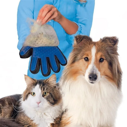 Grooming Glove