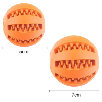 Interactive Rubber Dog Ball Toy