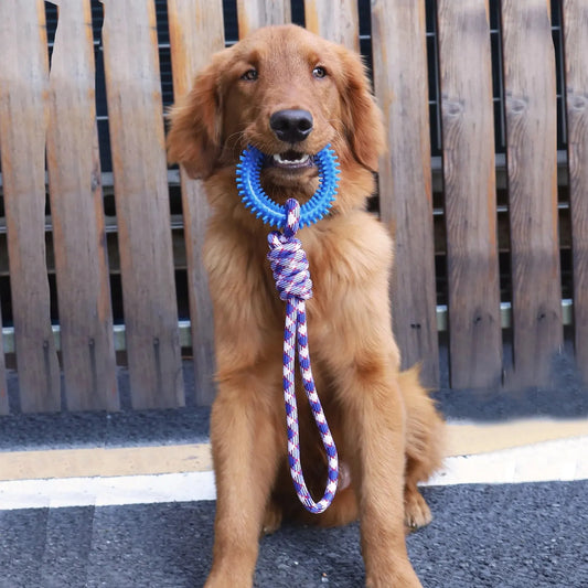 Interactive Rubber Dog Toy