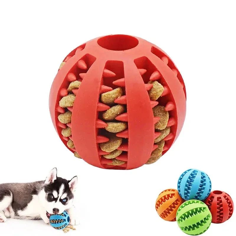 Interactive Rubber Dog Ball Toy