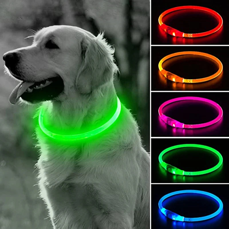 USB Rechargeable LED Dog Collar