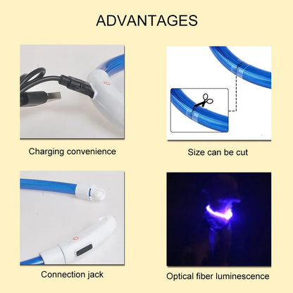 USB Rechargeable LED Dog Collar