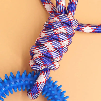 Interactive Rubber Dog Toy