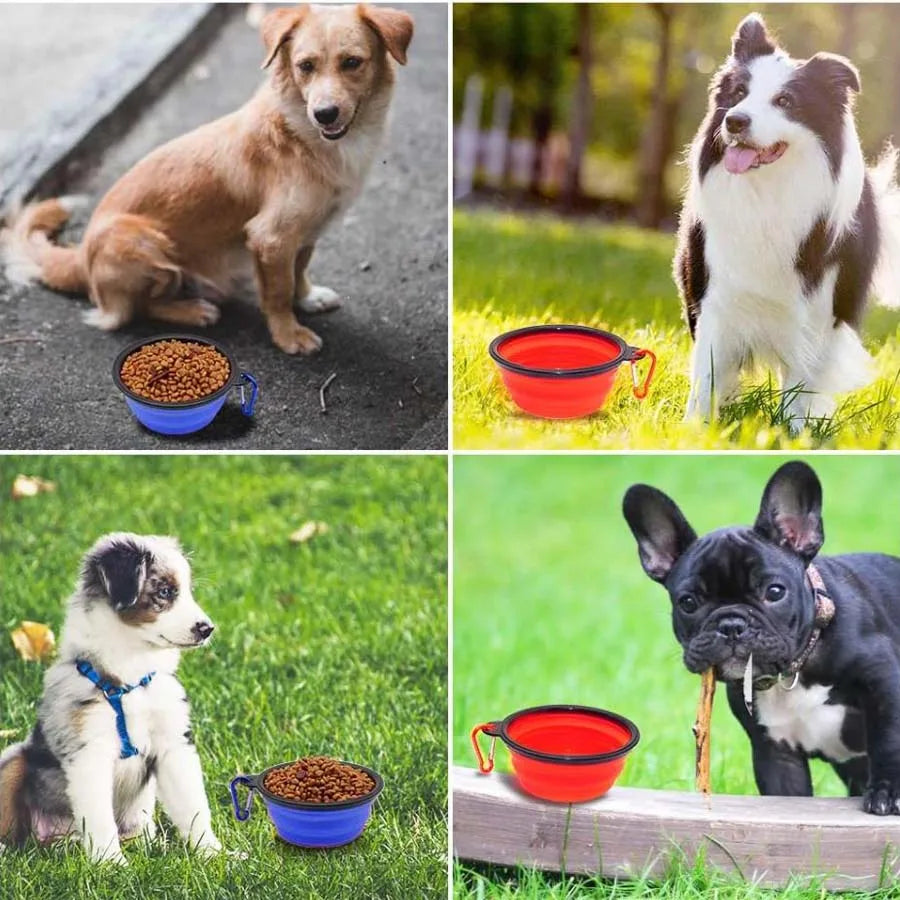 Travel Edition: Collapsible Food Bowl