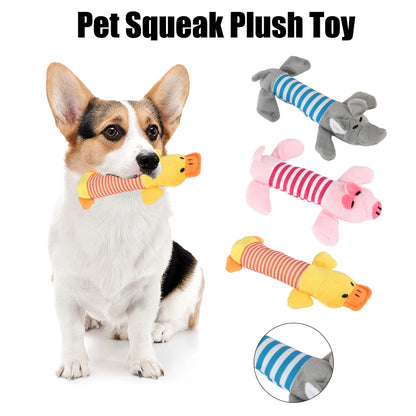 Squeaky Plush Toys