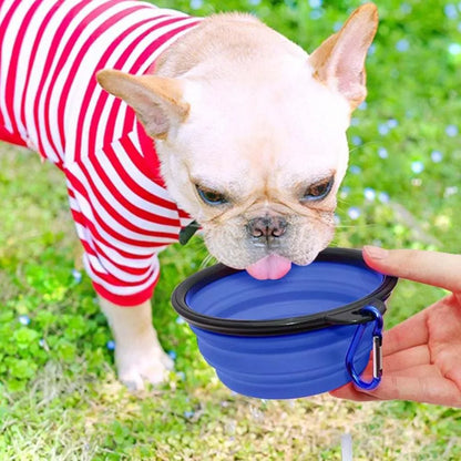 Travel Edition: Collapsible Food Bowl