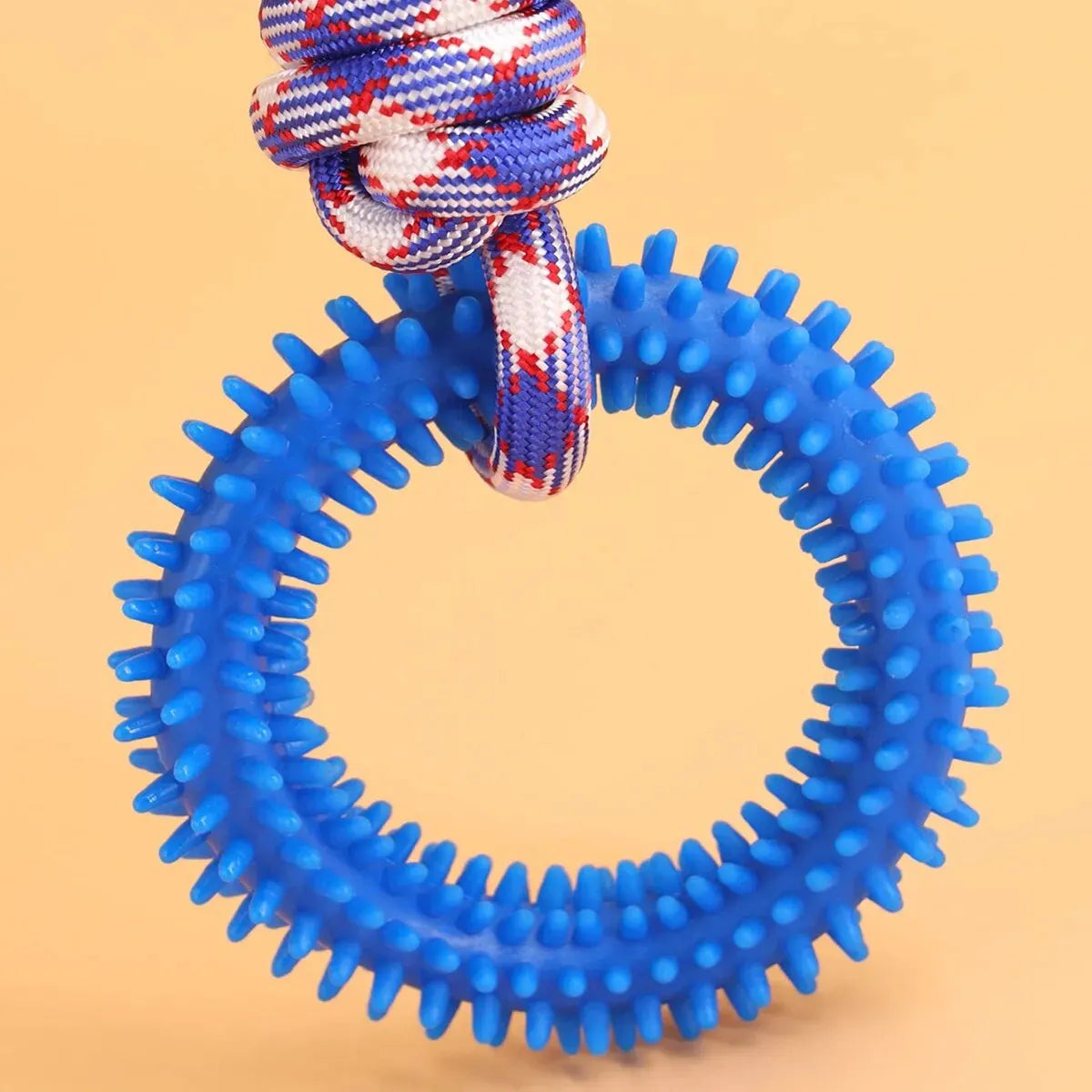 Interactive Rubber Dog Toy