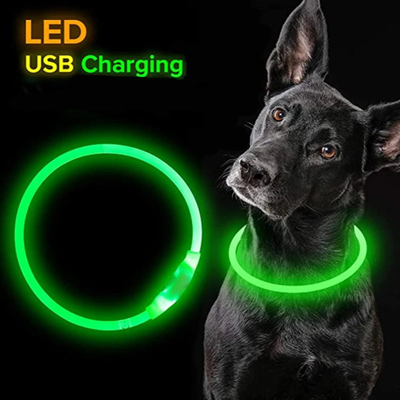 USB Rechargeable LED Dog Collar