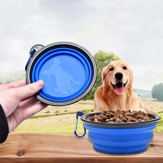 Travel Edition: Collapsible Food Bowl