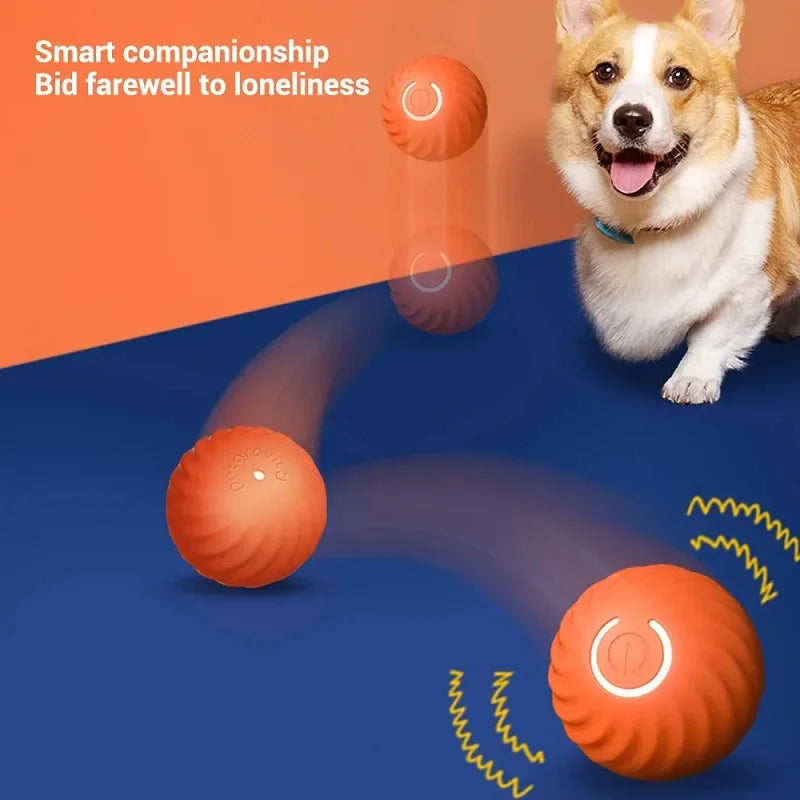 Smart Automatic Moving Bouncing Ball