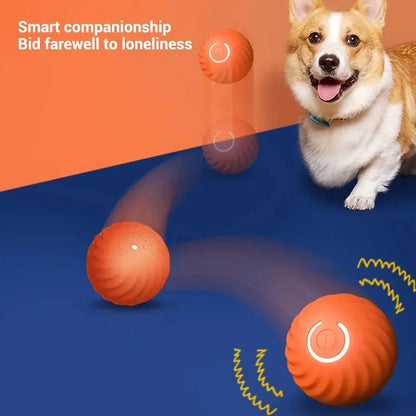 Smart Automatic Moving Bouncing Ball