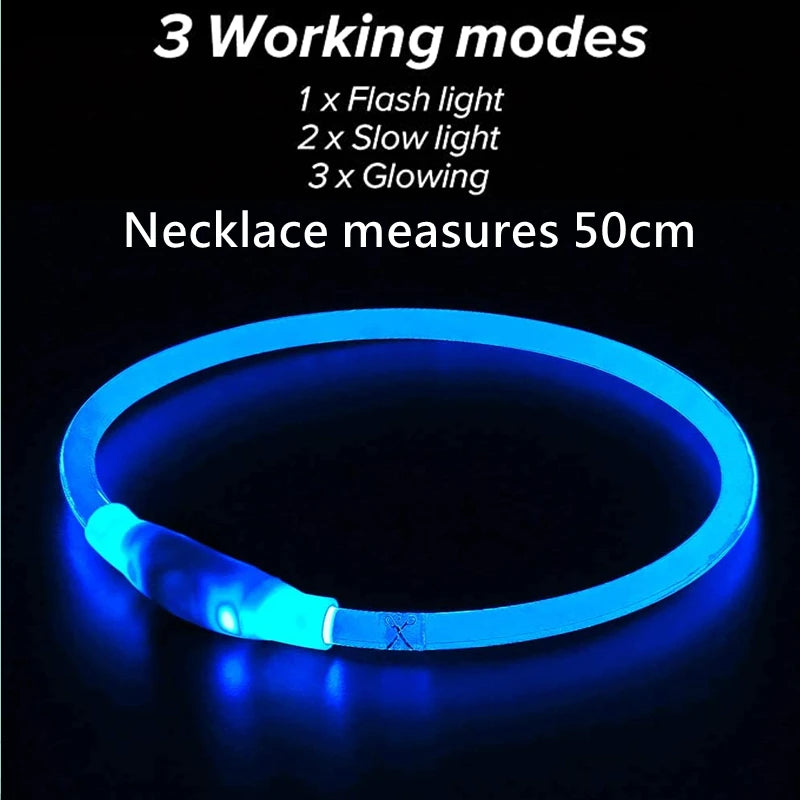 USB Rechargeable LED Dog Collar