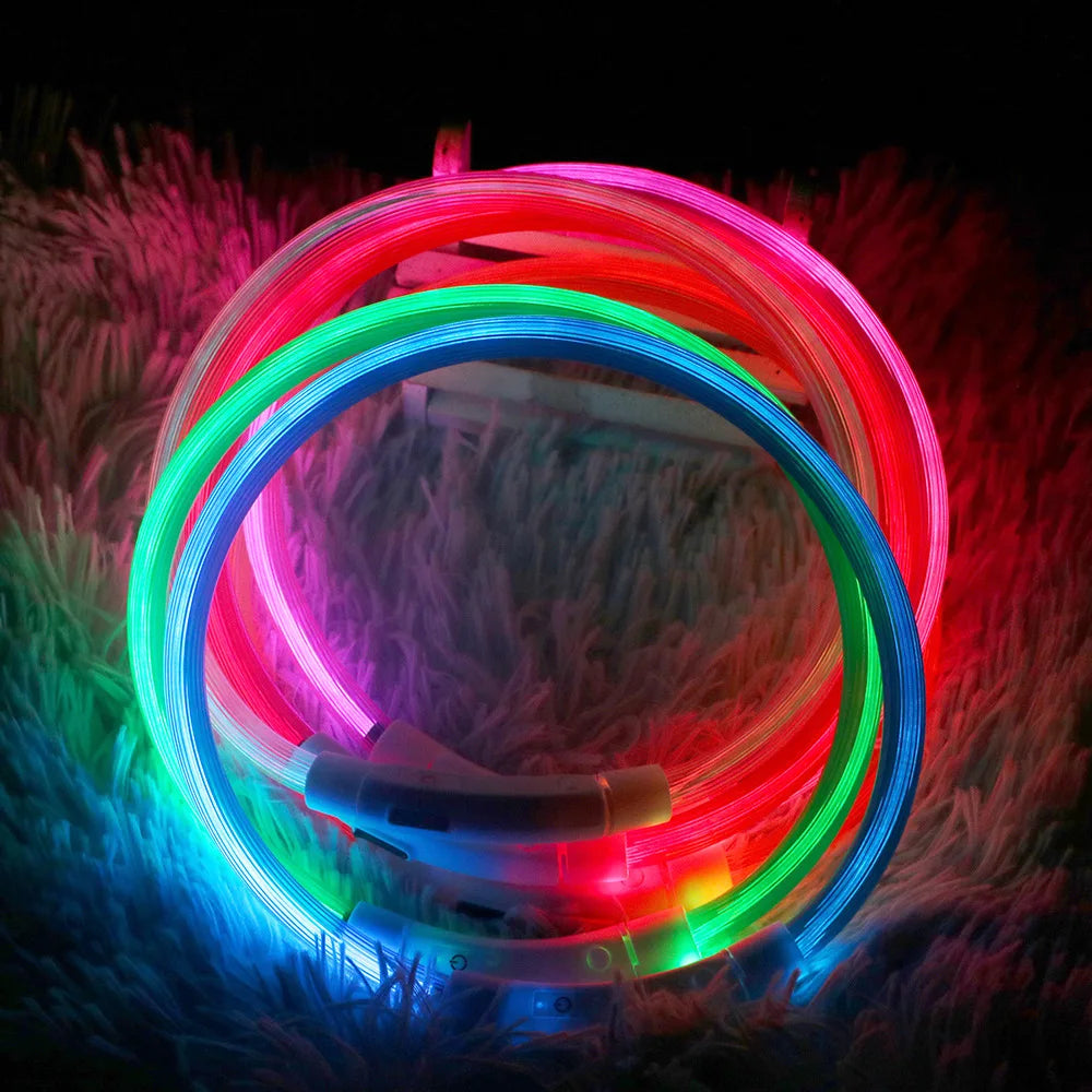 USB Rechargeable LED Dog Collar